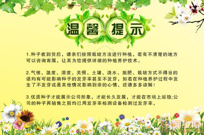 阳台菜园新选择 剪秋园艺白豌豆与青豌豆种子直销详参